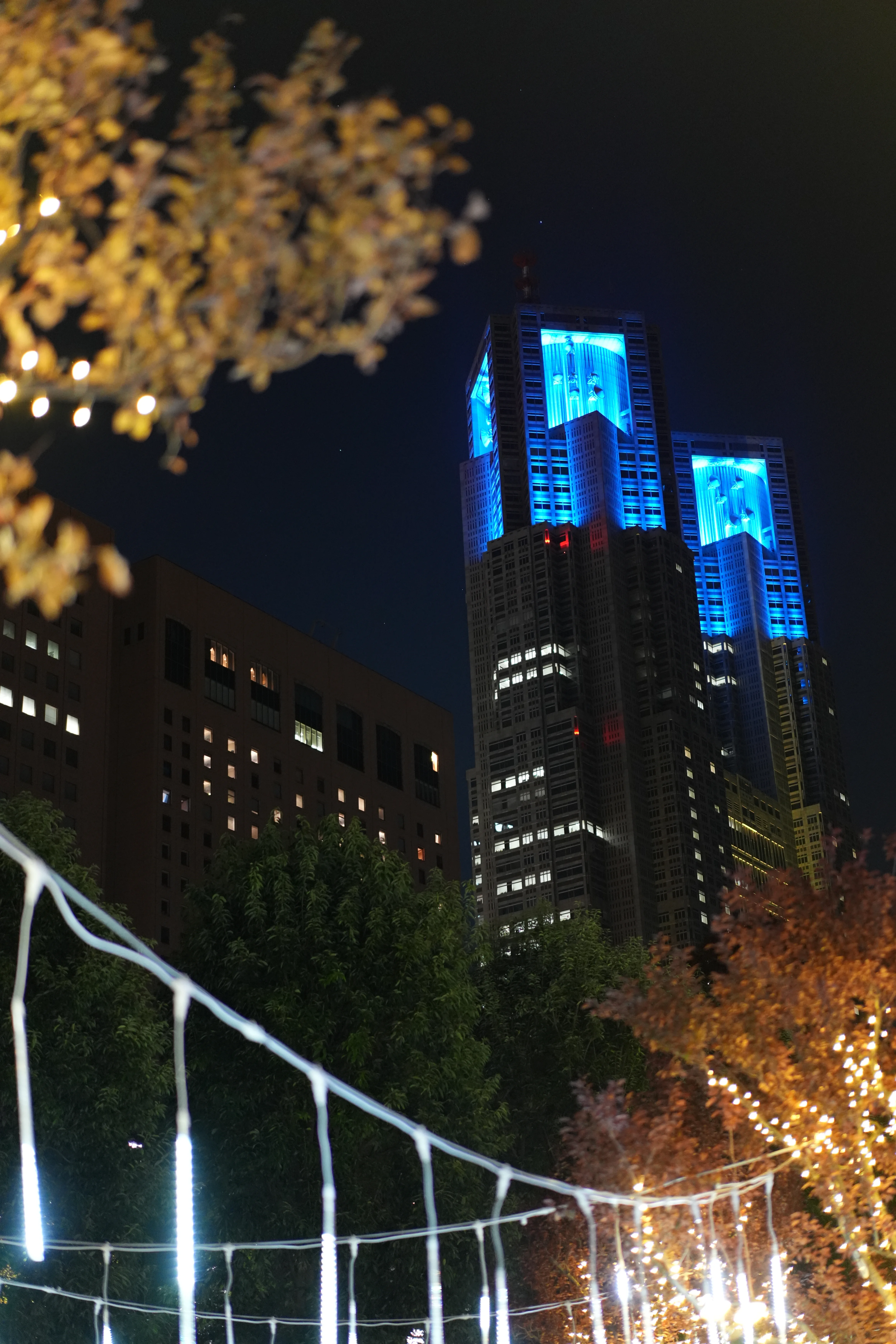 Blue light illuminates a tower above branches and a curved foreground barrier.