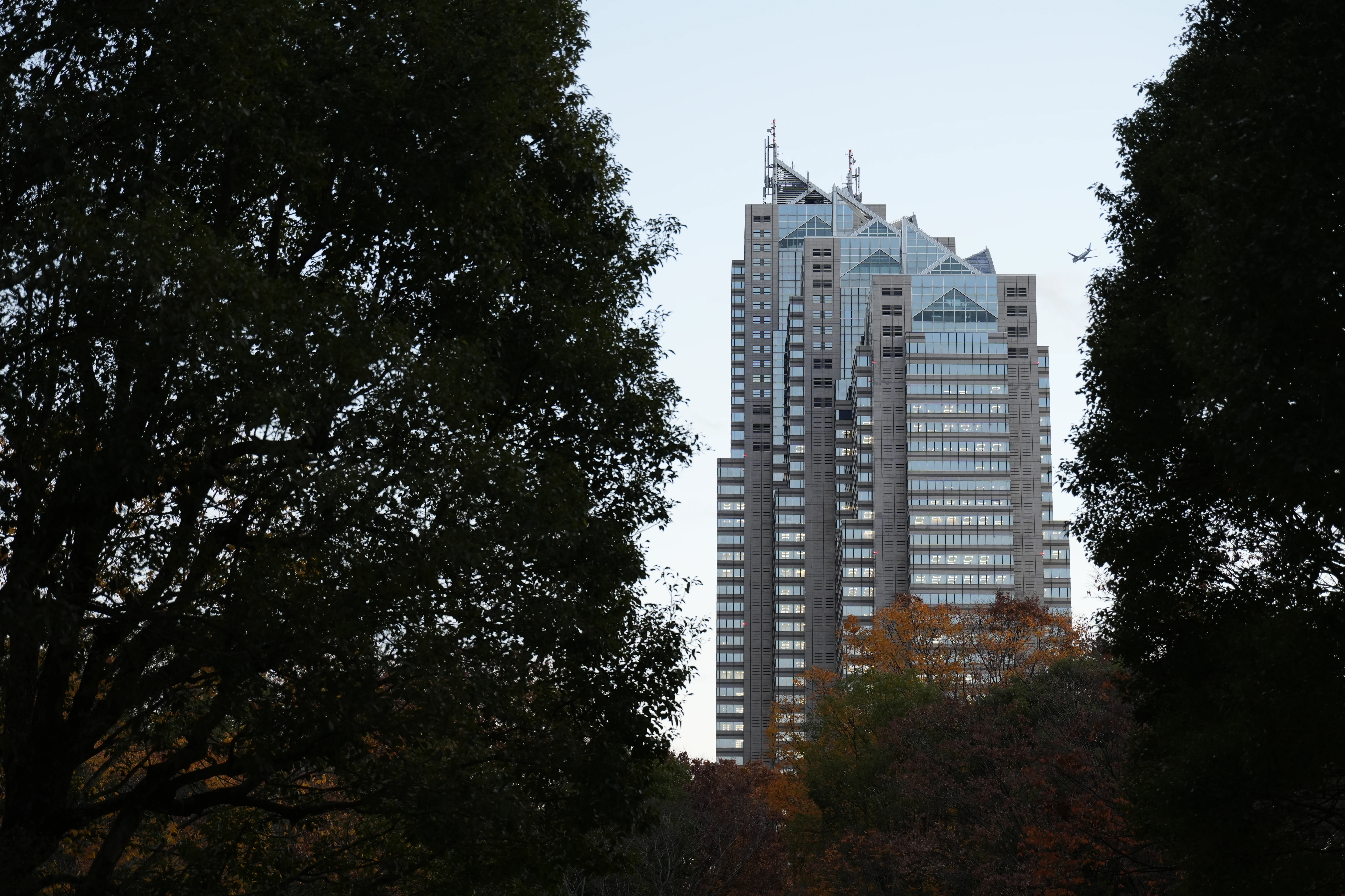 A pale tower with repeating vertical lines is framed by dark foliage.